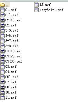 CеƈDFLASHn\ SWFʽ