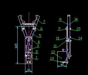 CеcadD