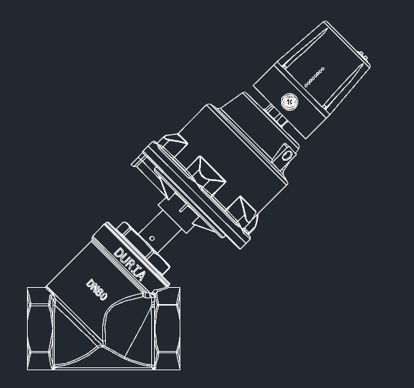 DN80MbD
