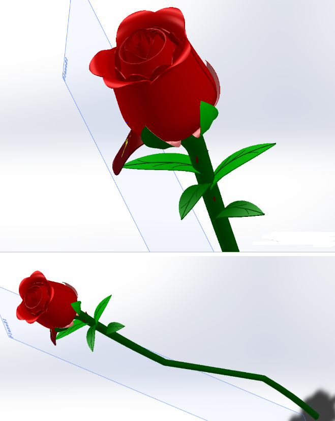 һֻRoseõ廨3D(sh)ģD SolidworksOӋ
