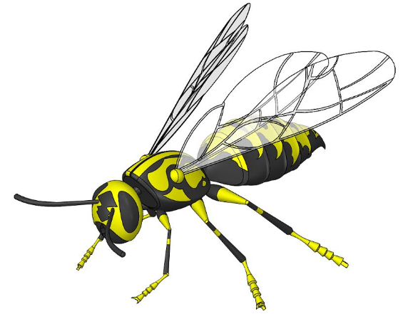 WaspS۷ģ3DD SolidworksO(sh)Ӌ(j)