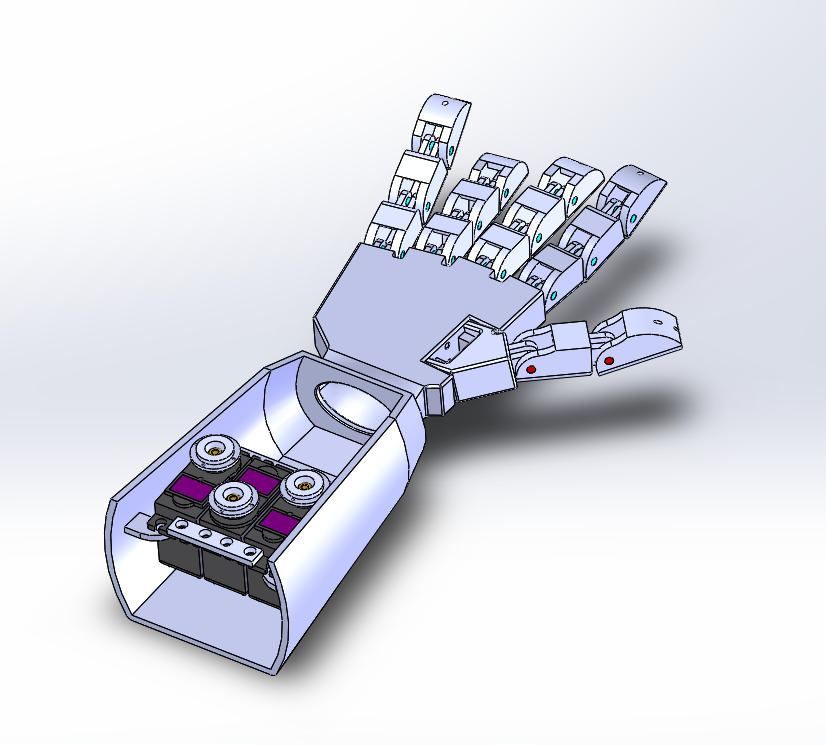 3Dӡ֫