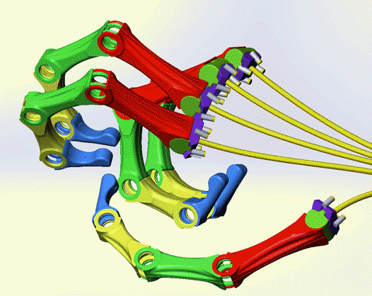 CLAW FOREARMֱ۷Y(ji)(gu)3DD STEPʽ